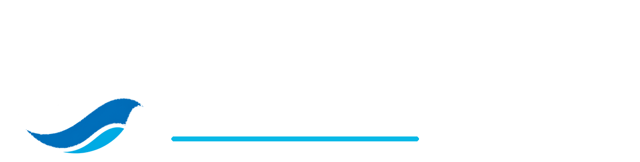 Orca Splash Pools